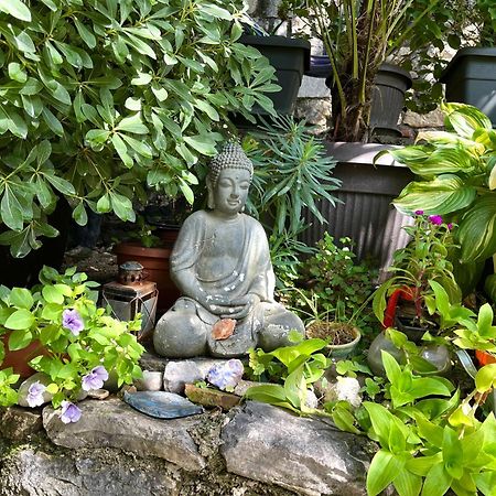 Healthystudio512 Apartments Kotor Ngoại thất bức ảnh