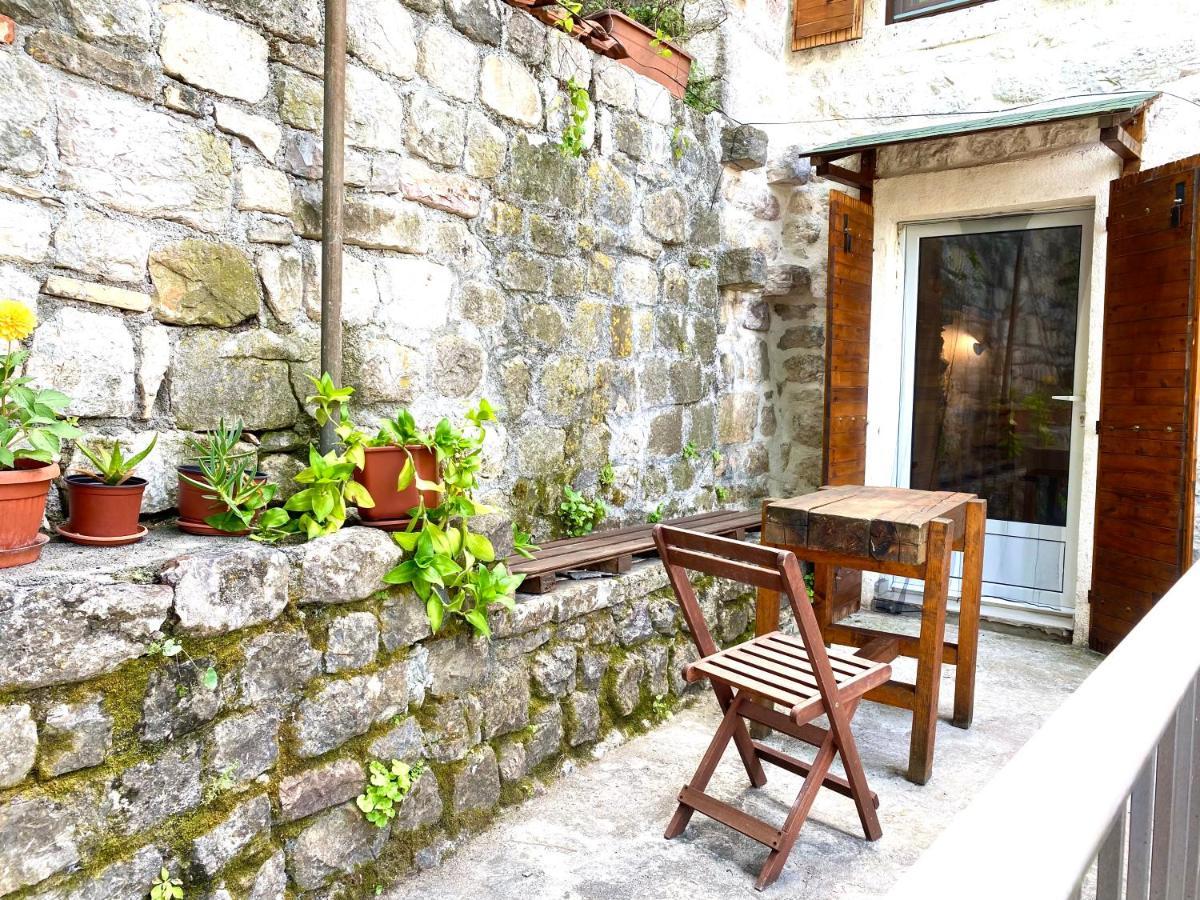 Healthystudio512 Apartments Kotor Ngoại thất bức ảnh