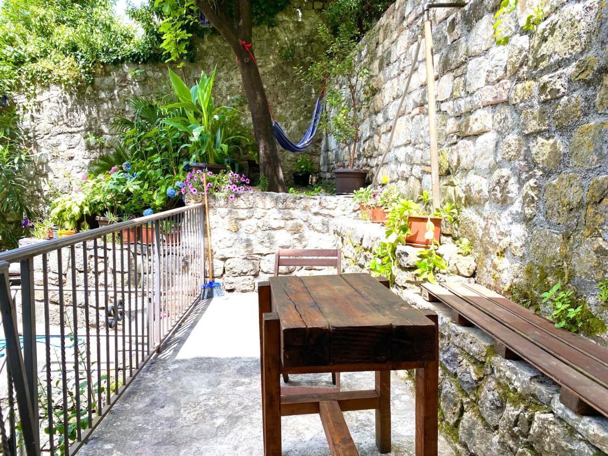Healthystudio512 Apartments Kotor Ngoại thất bức ảnh