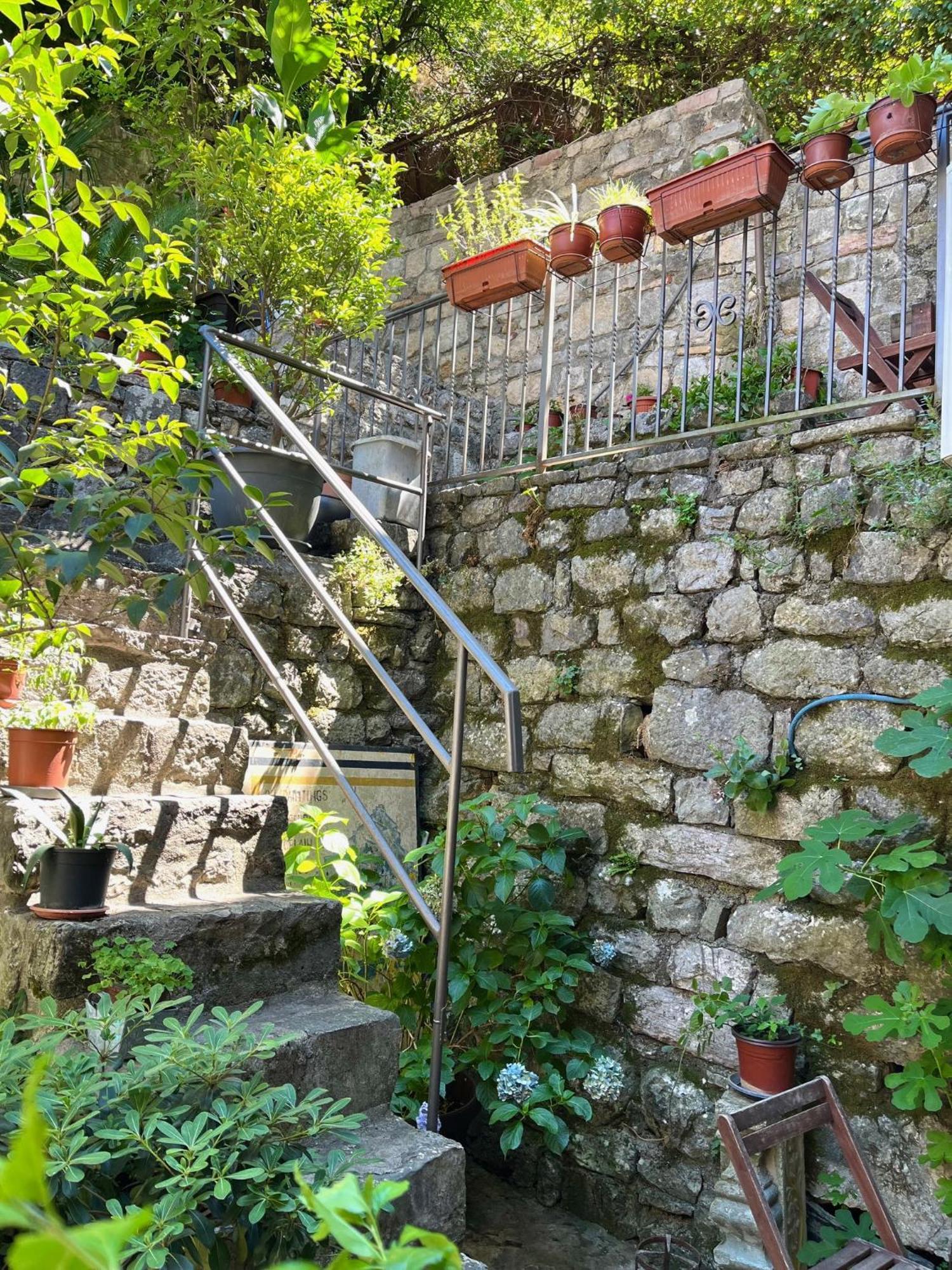 Healthystudio512 Apartments Kotor Ngoại thất bức ảnh