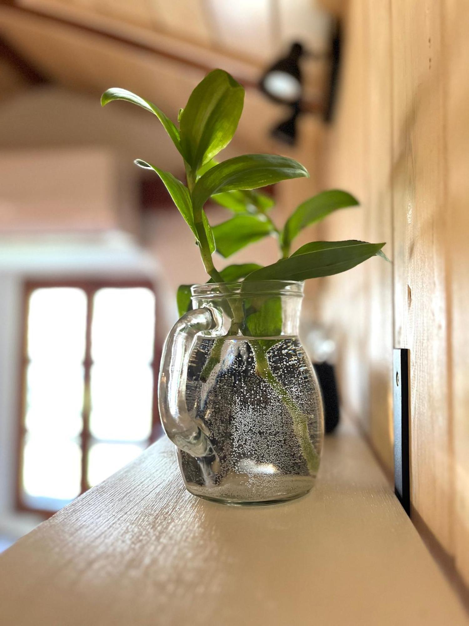Healthystudio512 Apartments Kotor Ngoại thất bức ảnh